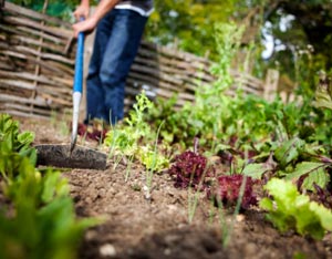 The Many Advantages of Simple Living